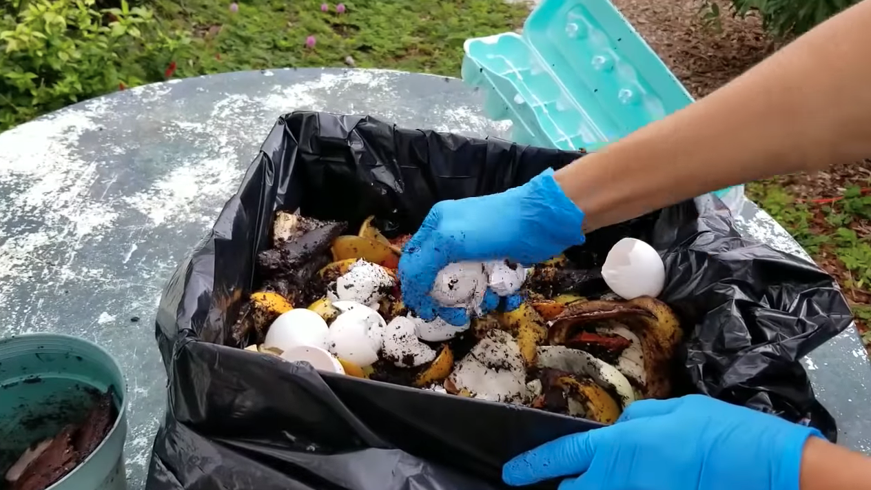 Ventajas y Desventajas del Abono Orgánico.