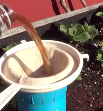 Café liquido para plantas usos