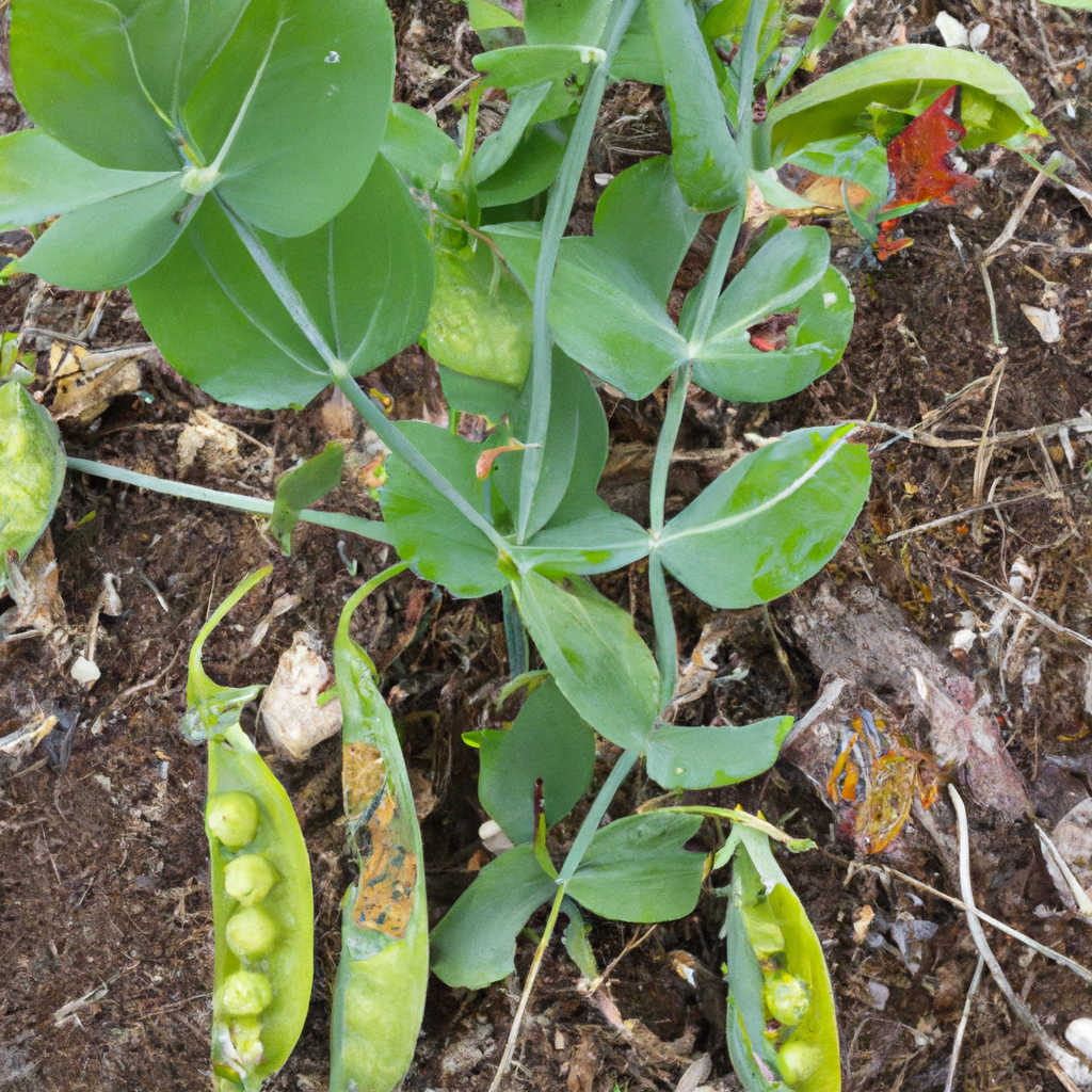 Eliminar gusanos de las plantas