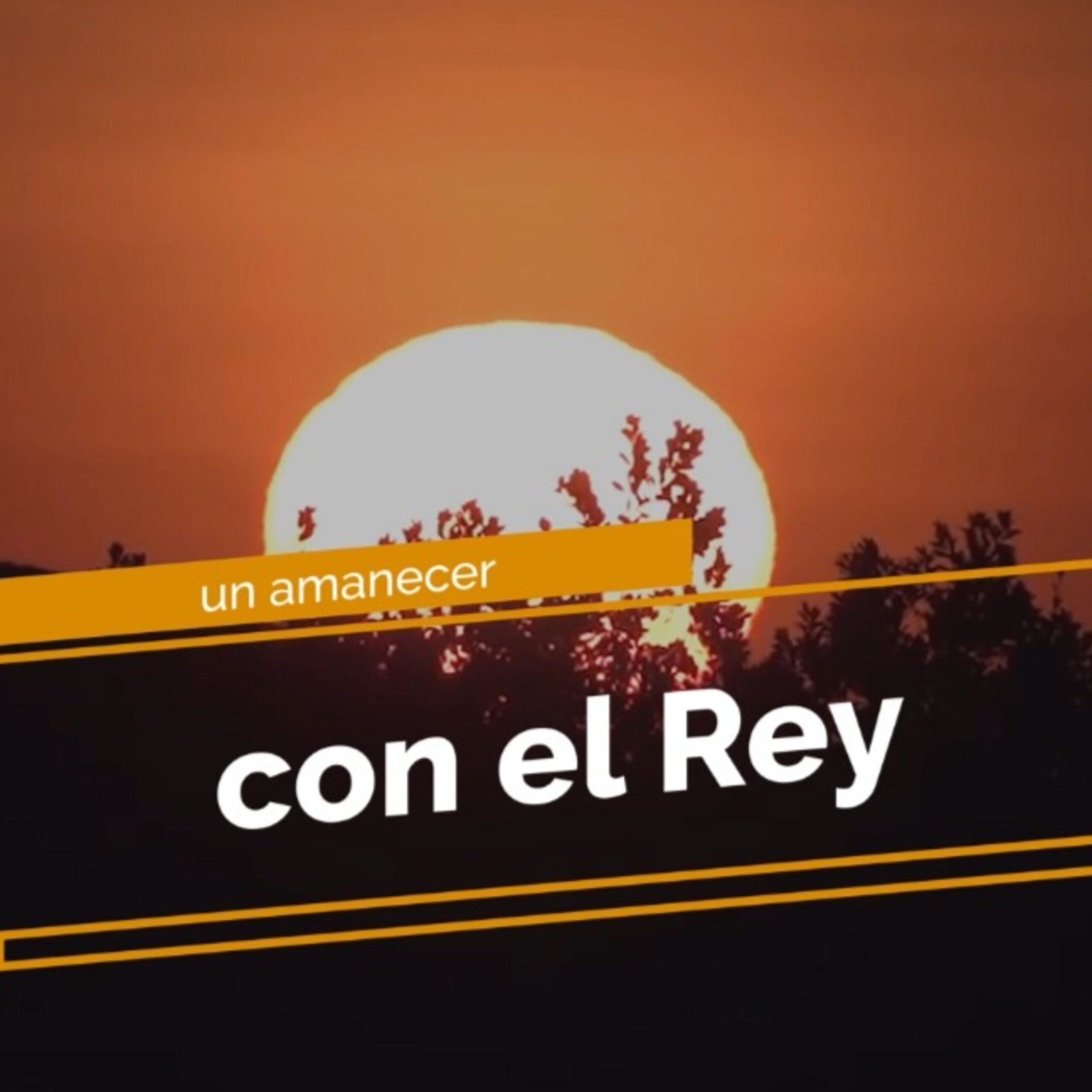 Conoce cuándo es el momento ideal para podar tu naranjo y lograr una cosecha fructífera
