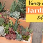 Descubre las Mejores Suculentas de Exterior para Embellecer tu Jardín