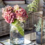 10 consejos fundamentales para el cuidado de plantas: ¡Mantén tus verdorosos tesoros siempre radiantes!