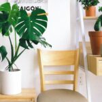 10 ideas originales para decorar tus macetas y darle vida a tus plantas