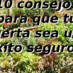 Beneficios del azufre para el crecimiento y cuidado de tus plantas: Guía completa