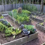 Cómo cuidar y mejorar el suelo de tu jardín: Consejos esenciales para un crecimiento saludable de tus plantas