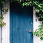 Descubre cómo decorar tus interiores con enredaderas: consejos y cuidados