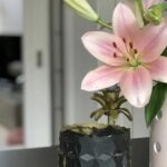 Descubre las Flores Parecidas a los Lirios para Embellecer tu Jardín