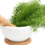 Fungicidas caseros: soluciones naturales para combatir los hongos en tus plantas