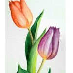 Guía completa sobre la reproducción de tulipanes: técnicas y consejos
