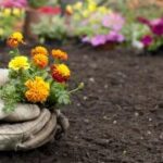 Las mejores flores para plantar en primavera: consejos y recomendaciones