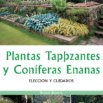 Las Mejores Plantas Cubresuelos para Embellecer tu Jardín