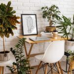 Las mejores plantas para tener en tu cocina y decorar con estilo