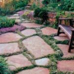 Las plantas rastreras tapizantes: cómo crear un jardín con un suelo naturalmente cubierto