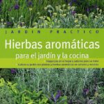 Plantas aromáticas para dar vida a tu cocina: una guía completa