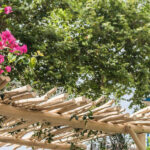 Plantas perennes ideales para embellecer tus macetas exteriores
