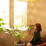 Desmintiendo el mito: Las plantas de interior no existen, descubre la verdad