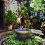 Plantas en interiores: Cómo cuidar y decorar tu hogar con verdor