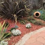7 formas efectivas de aprovechar los restos de poda en tu jardín