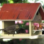 Descubre cómo hacer casitas de pájaros para tu jardín de forma fácil y creativa