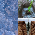 Descubre los beneficios de los geles de riego para tus plantas