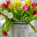 Guía completa: Cuándo y cómo plantar los bulbos de tulipán