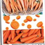 Todo lo que necesitas saber para plantar zanahorias con éxito en tu huerto